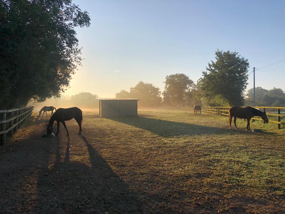 Haras D'elevage De Chevaux Holiday home *